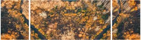 Obraz - Rzeka w kształcie serca (170x50 cm)