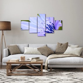 Obraz - Kwiat (125x70 cm)