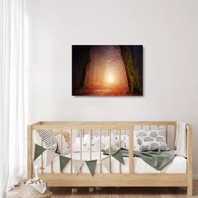 Obraz na szkle - jesienny las we mgle (70x50 cm)