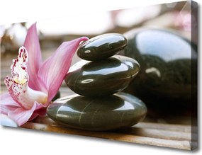 Obraz na płótnie Artystyczna Wizja Storczyka