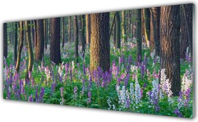 Panel Kuchenny Korony Leśnych Drzew