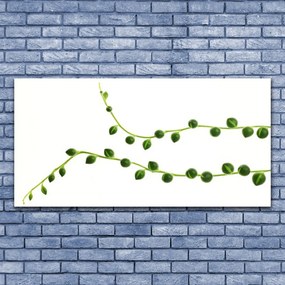 Zdjęcie na płótnie Stylowa Roślina Dekoracyjna