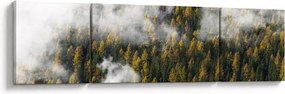 Obraz lasu w chmurach (170x50 cm)