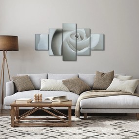 Obraz - Biała róża (125x70 cm)
