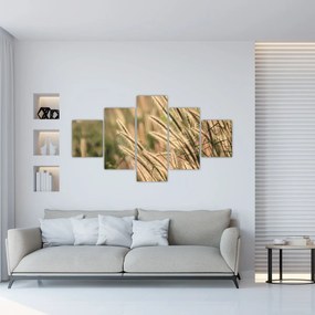 Obraz - Ziarno (125x70 cm)