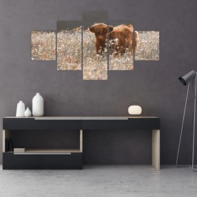 Obraz - Szkocka krowa w kwiatach (125x70 cm)