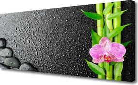 Obraz canvas Egzotyczny Pęd Bambusa