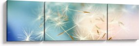 Obraz - szczęścia (170x50 cm)