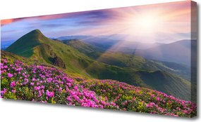 Obraz canvas Kwiatowy Dywan u Stóp Gór