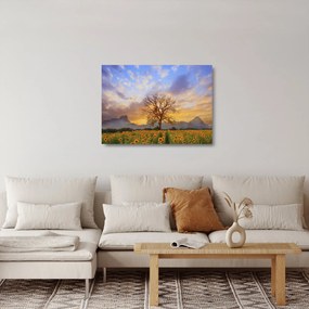 Obraz na szkle - Pejzaż ze słonecznikami (70x50 cm)