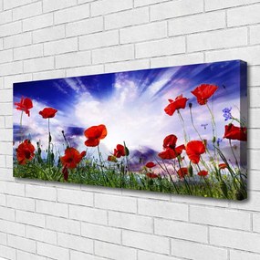 Fotoobraz na płótnie Czerwone Maki w Polu