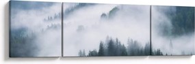 Obraz - Drzewa we mgle (170x50 cm)