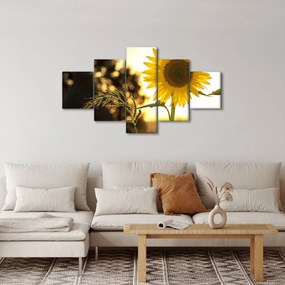 Obraz słonecznika (125x70 cm)