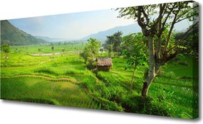 Obraz na płótnie Sielska Zielona Łąka