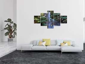 Obraz australijskiego lasu deszczowego (125x70 cm)