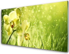 Szkło Dekoracyjne do Kuchni Świeżość Zielonych Źdźbeł