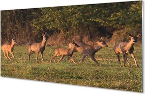 Panel Szklany Jelenie na Polu o Wschodzie Słońca