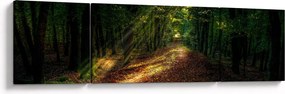 Obraz leśnej ścieżki (170x50 cm)
