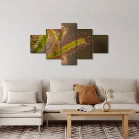 Obraz rośliny (125x70 cm)
