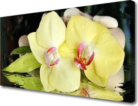 Obraz canvas Drewniane Molo o Zmierzchu