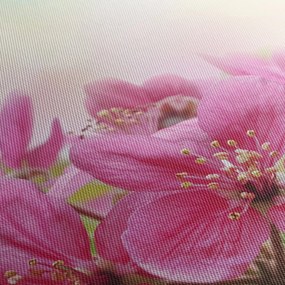 Obraz - Różowe kwiaty (z zegarem) (90x30 cm)
