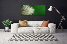 Obraz na płótnie Puszysty Mniszek Lekarski