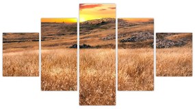 Obraz pola (125x70 cm)