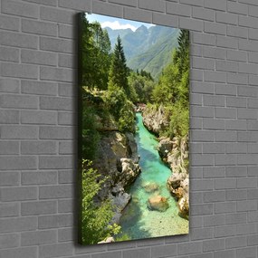 Foto obraz canvas pionowy Potok górski