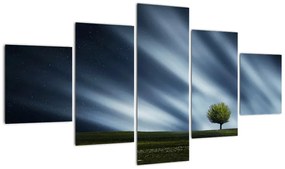 Obraz zorzy polarnej nad wrzosowiskami (125x70 cm)