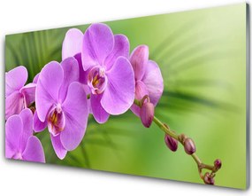 Panel Szklany Szlachetna Elegancja Storczyka