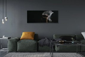 Duży obraz na płótnie Kobieta w Dymie