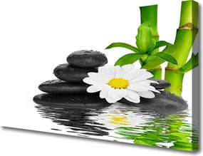 Obraz canvas Harmonijna Kompozycja Zen z Bambusem