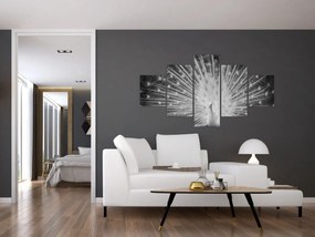 Obraz - Biały paw (125x70 cm)
