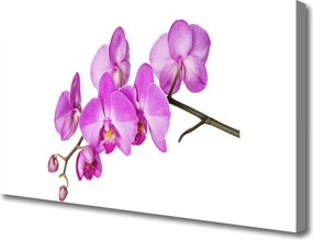 Obraz canvas na ścianę Kompozycja Różowych Storczyków