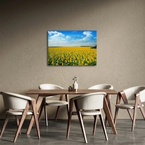 Obraz - ciąg słoneczników (70x50 cm)