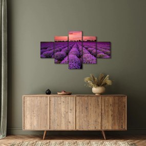 Obraz - Pole lawendy (125x70 cm)