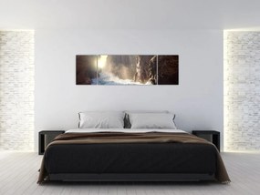 Obraz - Skały i fale oceanu (170x50 cm)