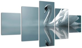 Obraz - Biały łabędź (125x70 cm)