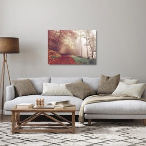 Obraz na szkle - Jesienny spacer po lesie (70x50 cm)