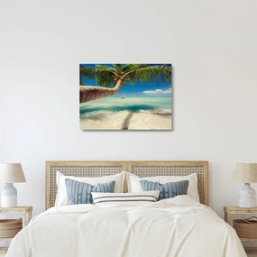 Obraz na szkle - Czyste morze z palmą (70x50 cm)