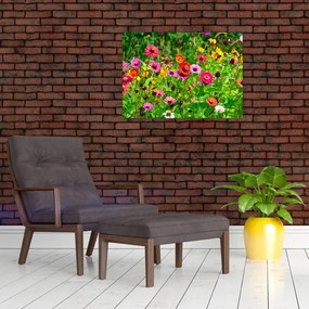 Obraz na szkle - kwiaty polne (70x50 cm)