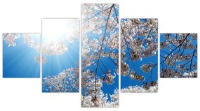 Obraz - Wiśniowe kwiaty (125x70 cm)
