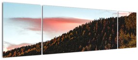 Obraz rudzików nad wzgórzem (170x50 cm)
