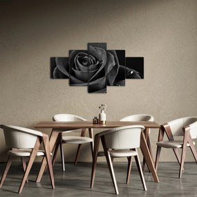 Obraz - Czerwona róża (125x70 cm)