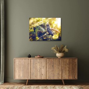 Obraz sowy na drzewie (70x50 cm)