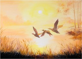 Obraz - Żurawie o zachodzie słońca (70x50 cm)