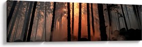 Obraz ciemnego lasu (170x50 cm)