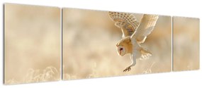 Obraz - Sowa Płomykówka (170x50 cm)