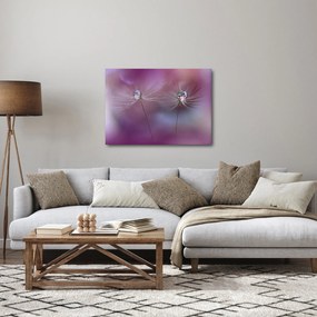 Obraz kropelek na puchu (70x50 cm)