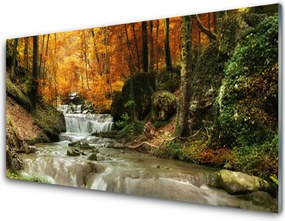 Panel Szklany Ukryty Wodospad w Gęstwinie